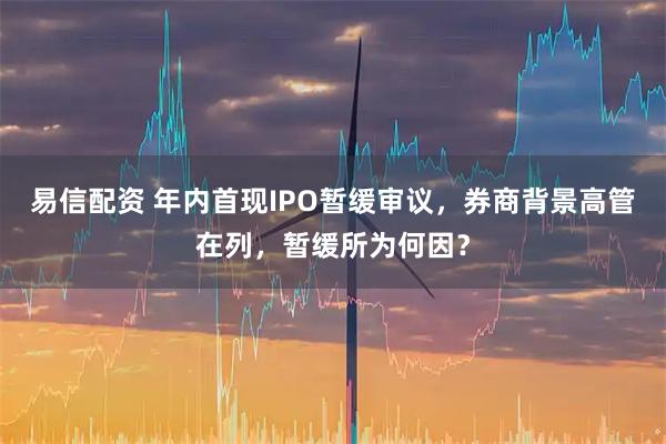 易信配资 年内首现IPO暂缓审议，券商背景高管在列，暂缓所为何因？